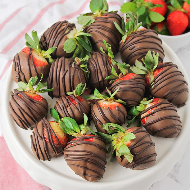 Elite Air Catering North Carolina